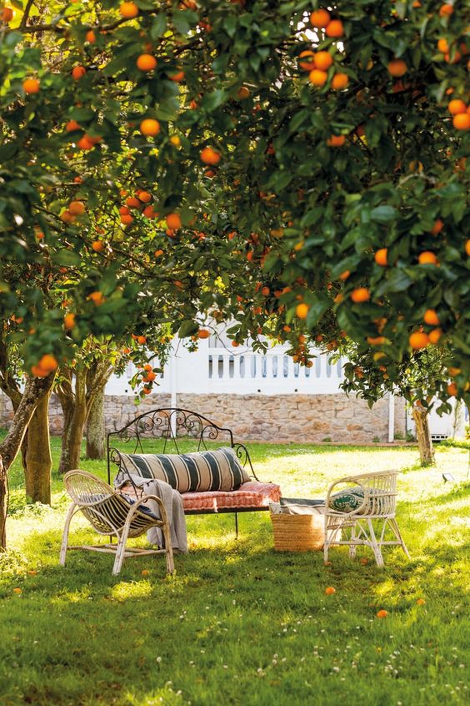 jardin primavera verano 1