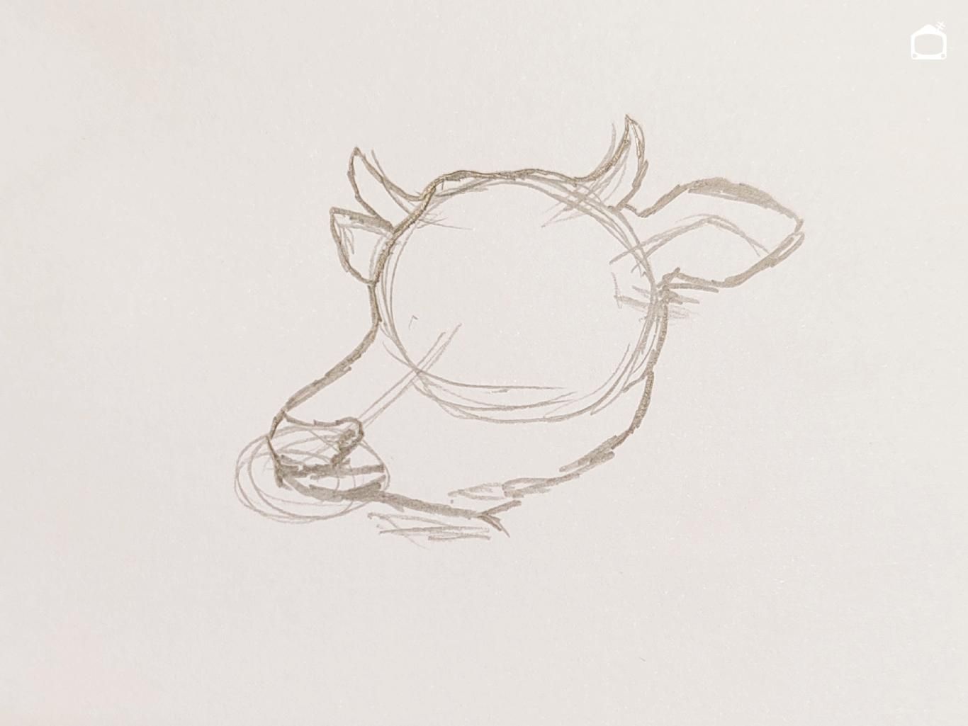 Boceto a lápiz de la cabeza de una vaca.