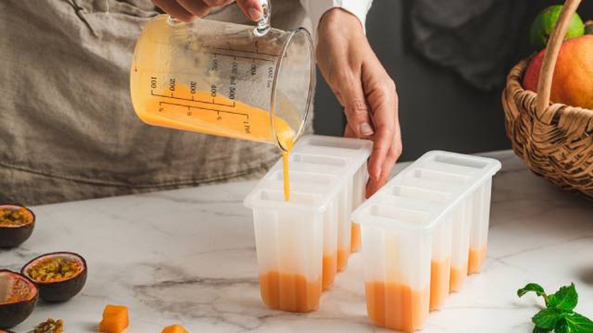 como hacer helados caseros nutritivos para perros moldes