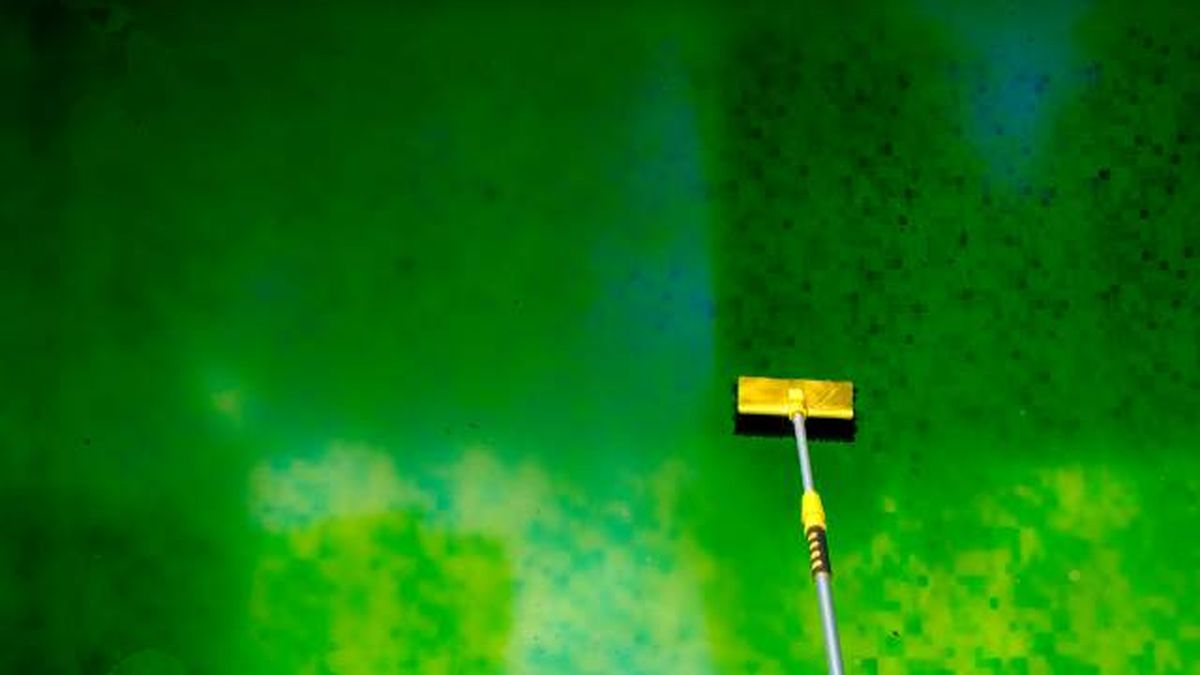 como quitar las algas de la piscina 2