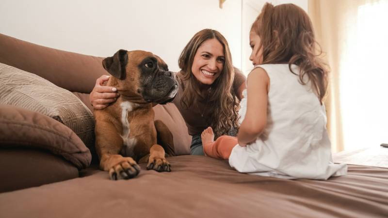 Los perros bóxer son protectores y juguetones, capaces de crear fuertes lazos.