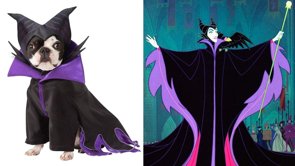 disfraces disney mascotas 12