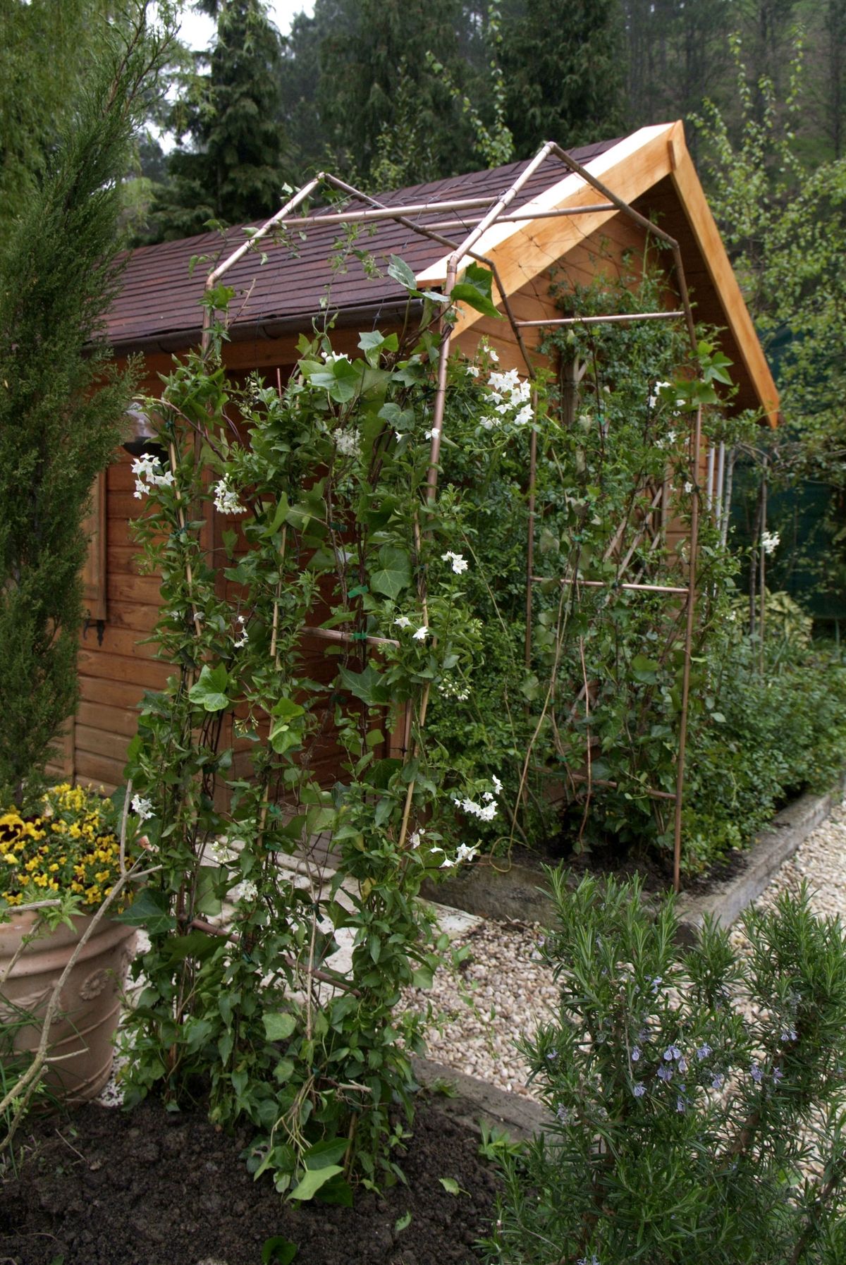 Arco para enredaderas paso 10