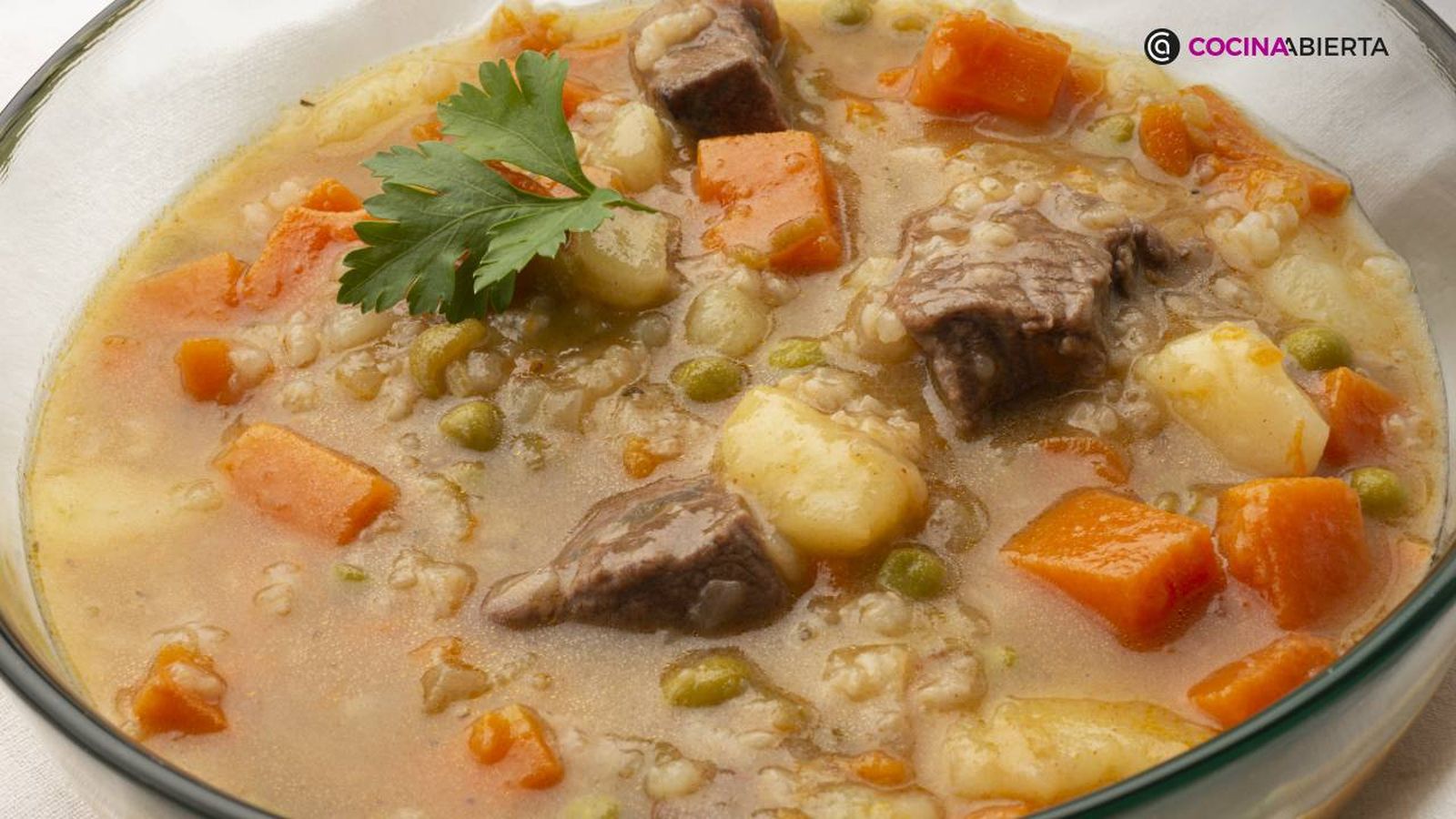 karl7081 carbonada calabaza xl