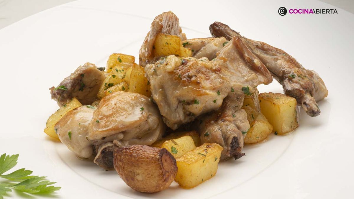 KARL6974 conejo ajillo xl