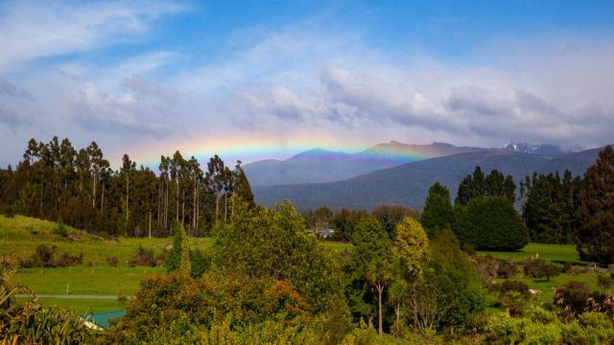 por que saben las plantas que ha llegado la primavera