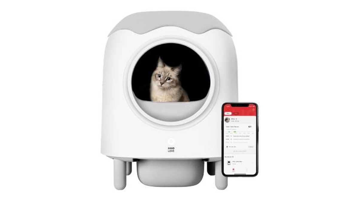 hholove arenero autolimpiable amazon