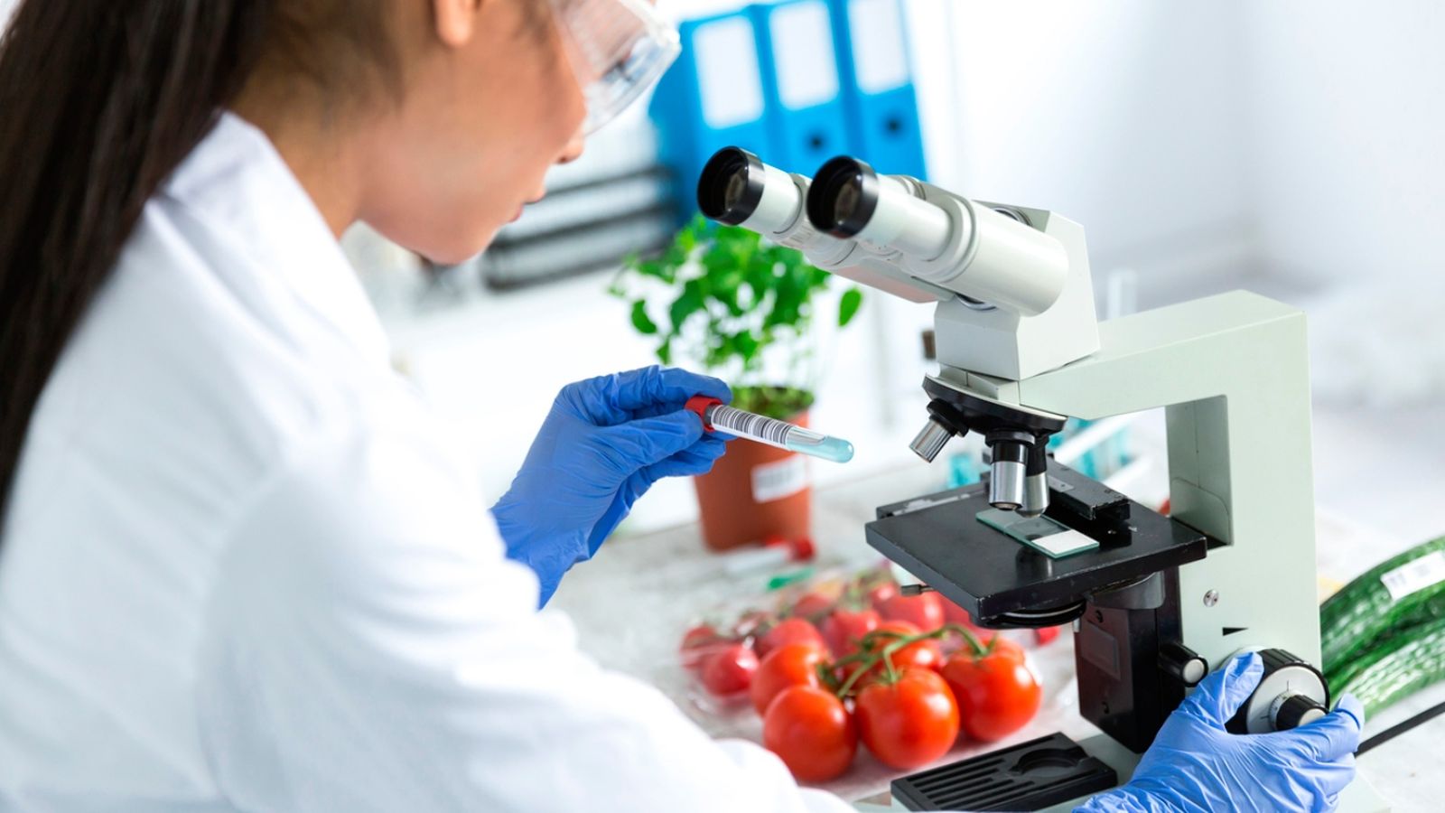 España será pionera en la investigación agroalimentaria con el primer 'sandbox' de Europa en esta área