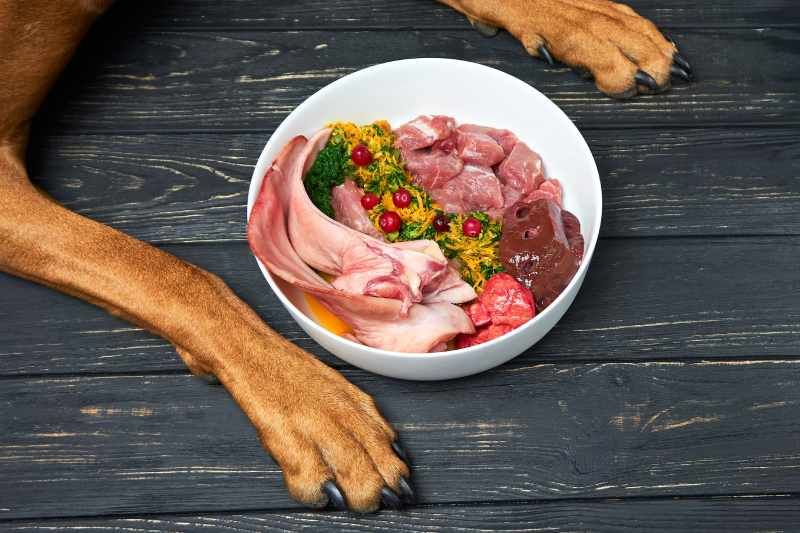 La dieta BARF mejora la salud de tu perro