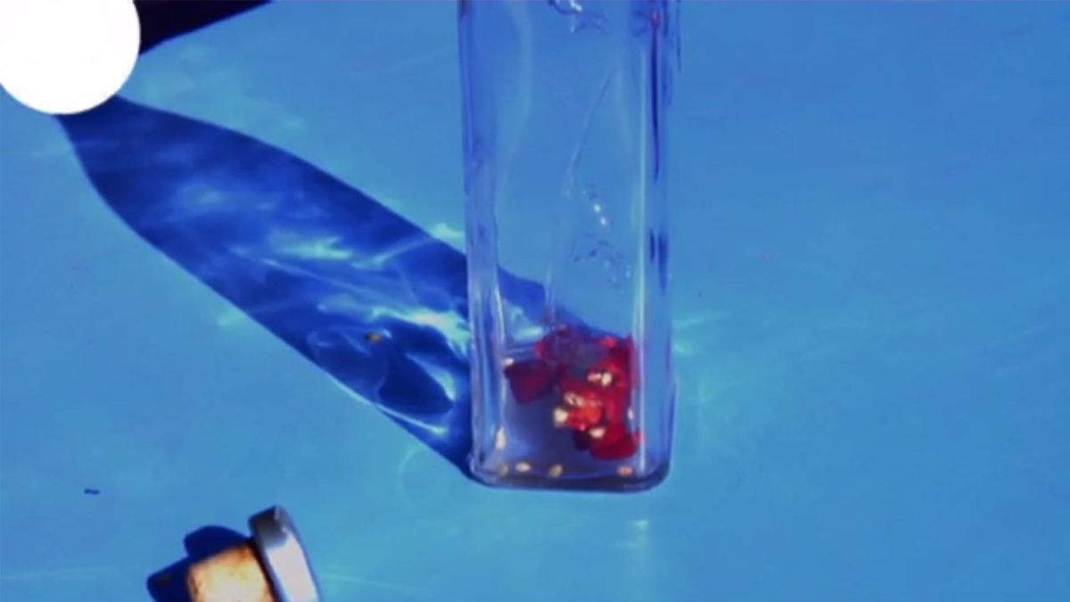 BRICO_JARDIN 763 cortar chile picante