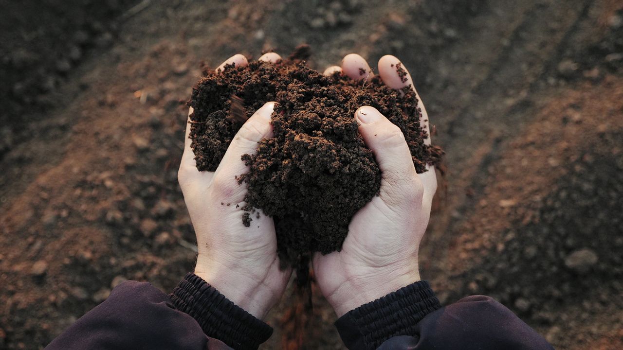 recuperar tierra jardinera podrida exceso agua