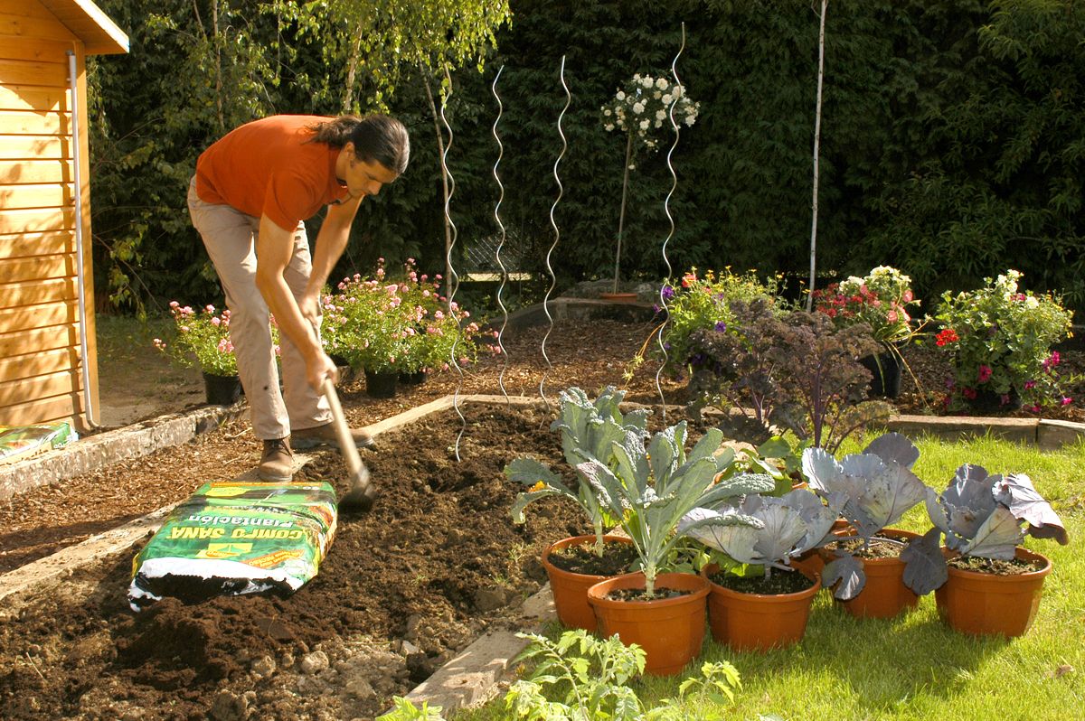 brico 0376 3 como hacer huerto plantas ornamentales paso 1