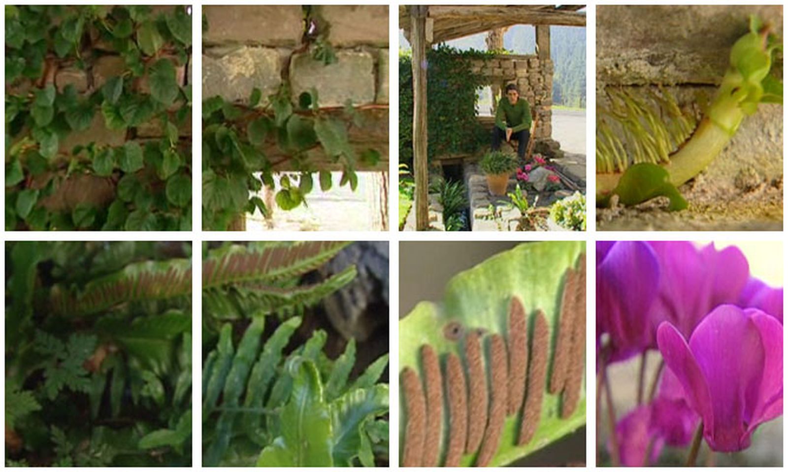 DEKO_ARTE_FLORAL001_Muro1