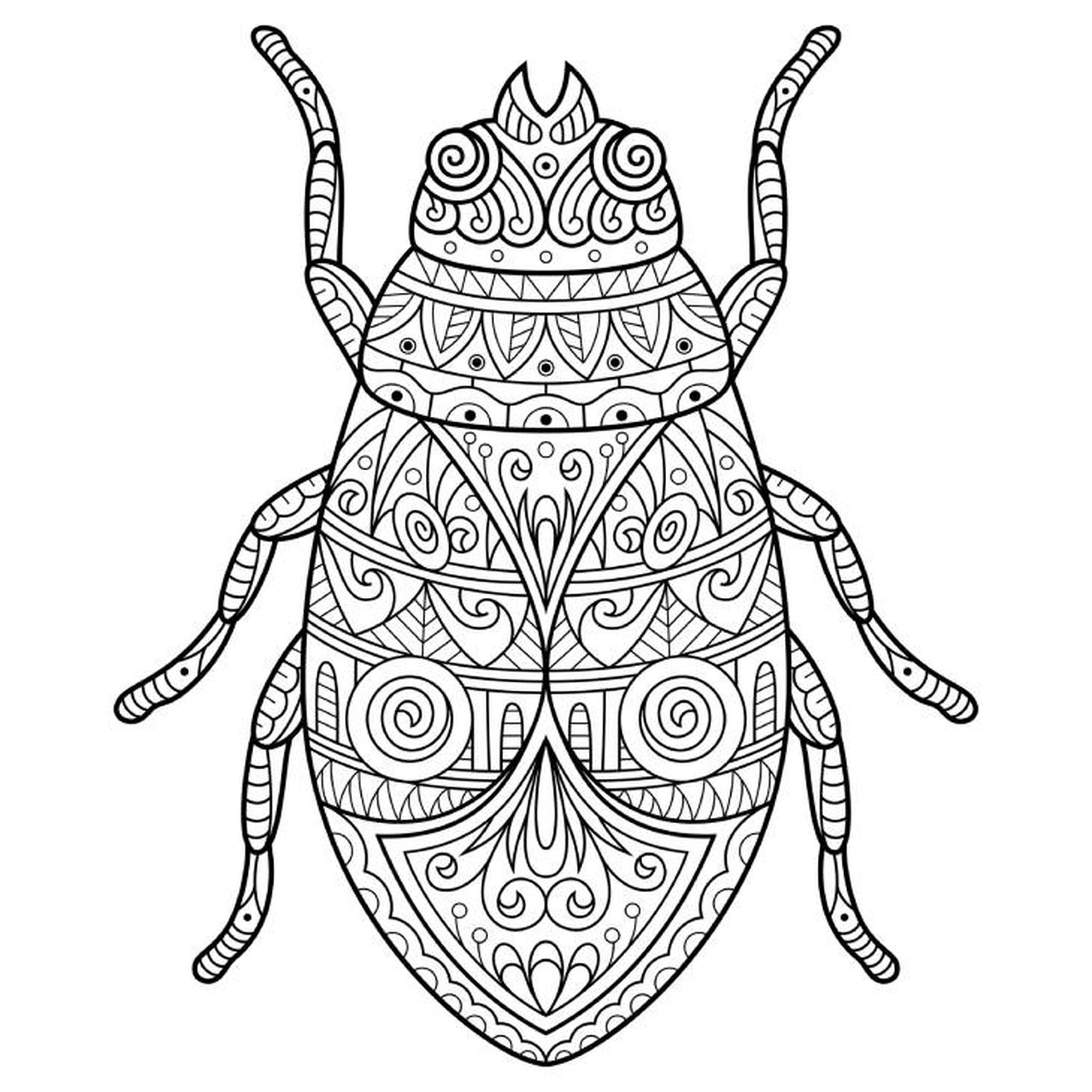 escarabajo mandala
