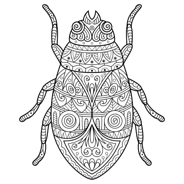 escarabajo mandala