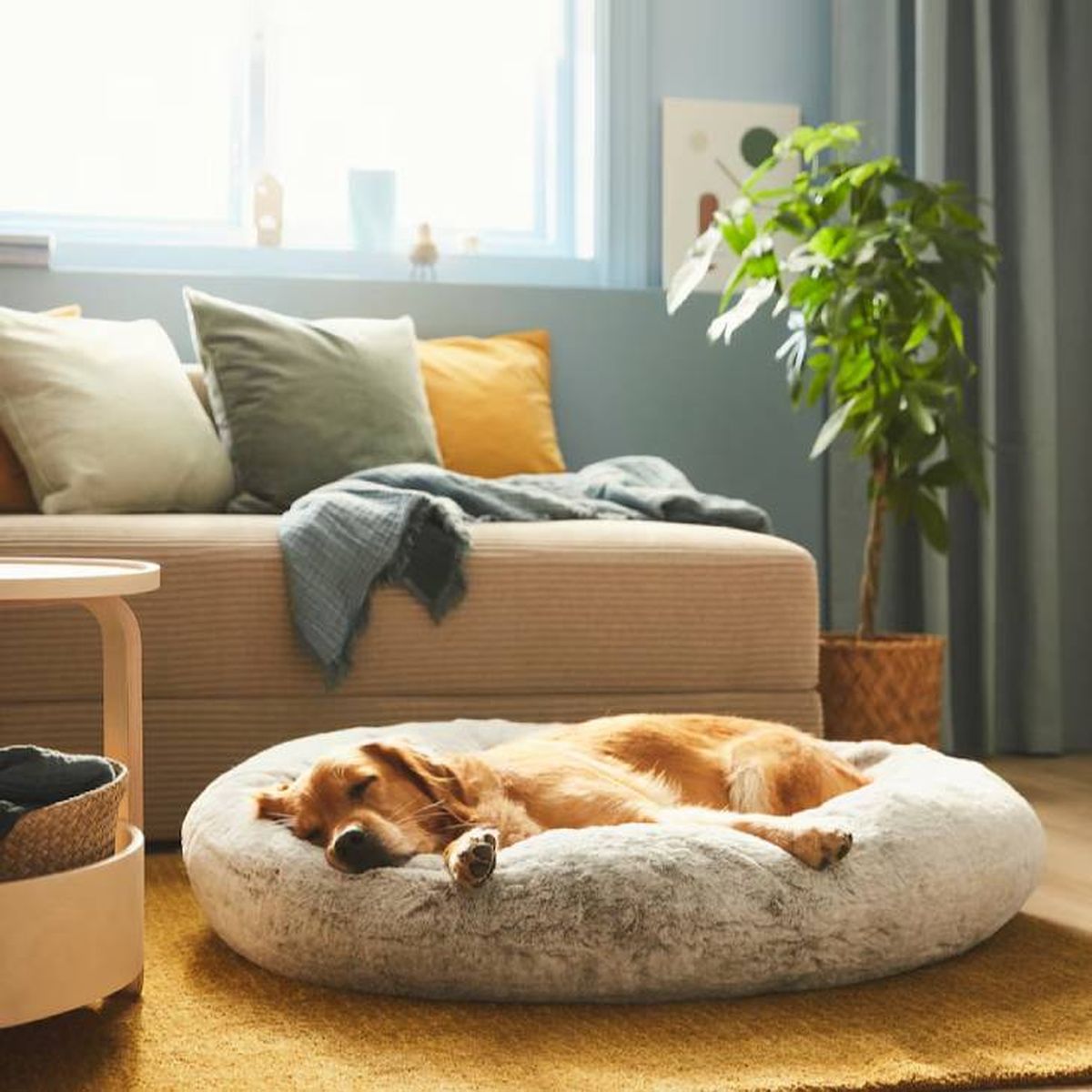 cama para perro ikea