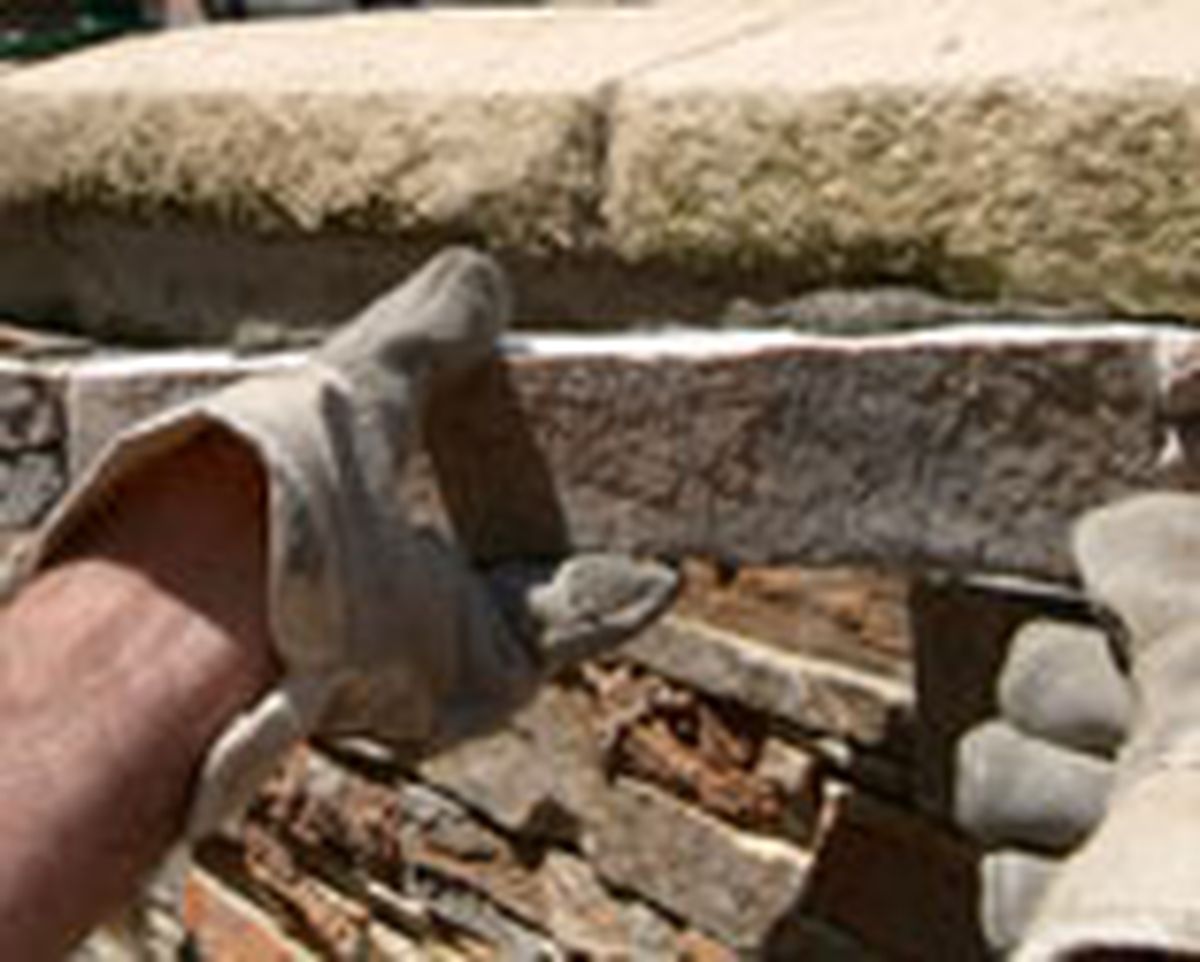 462 pied nat ext p24