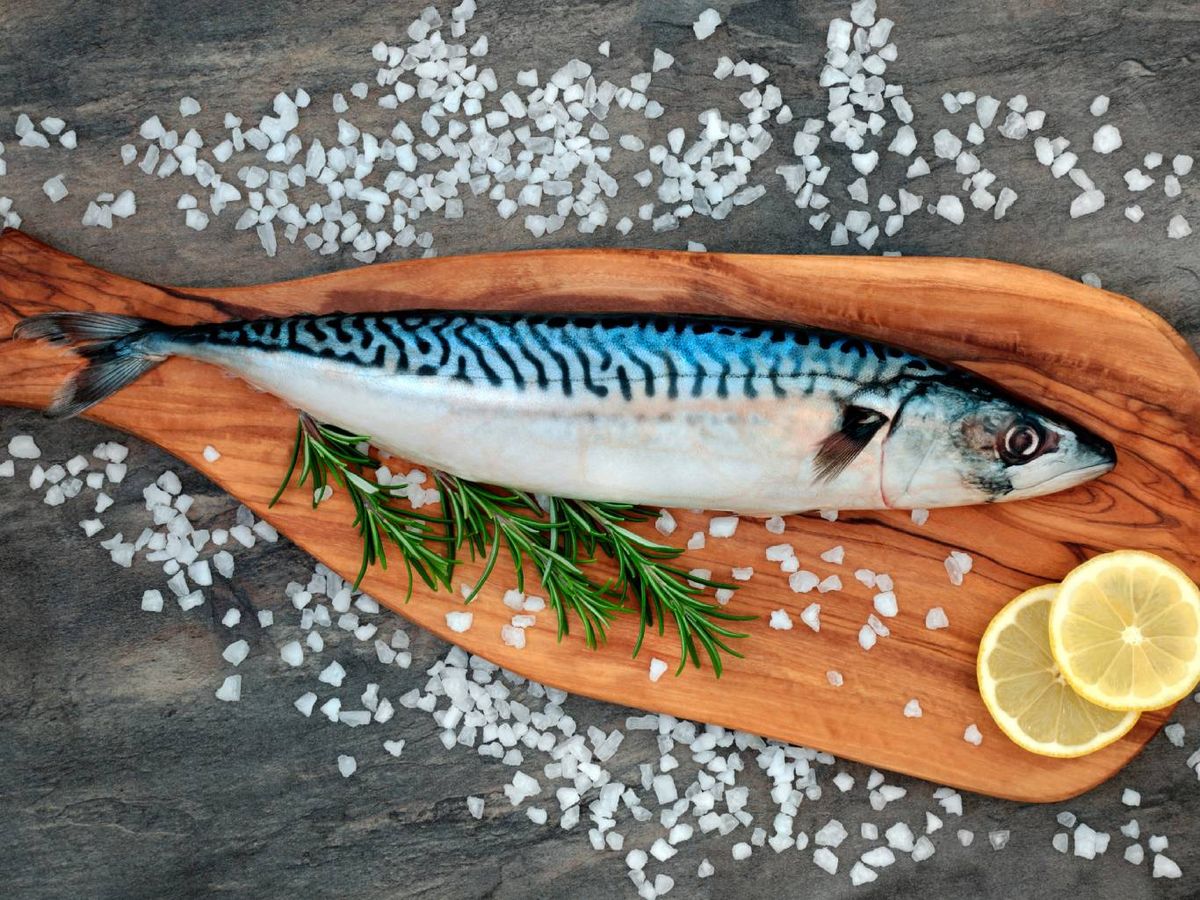 La caballa o verdel es un pescado azul perfecto para filetear