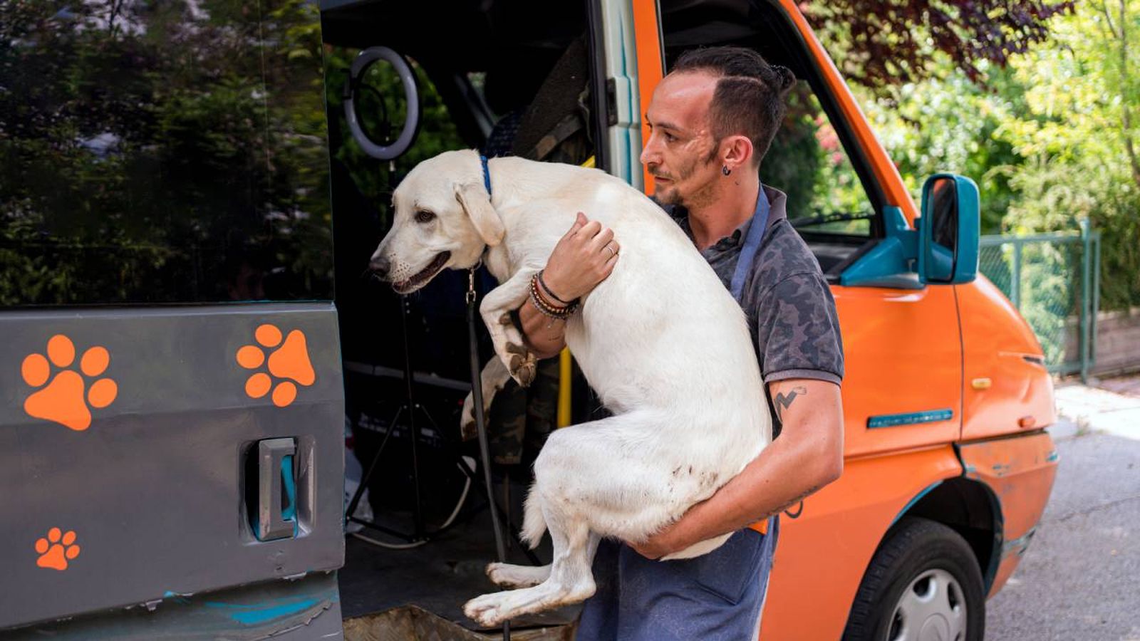 empresas servicio transporte animales compania