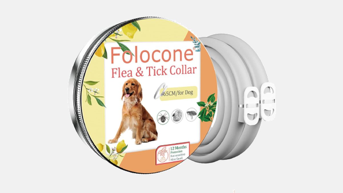 collares antiparasitarios para perros modelo 4