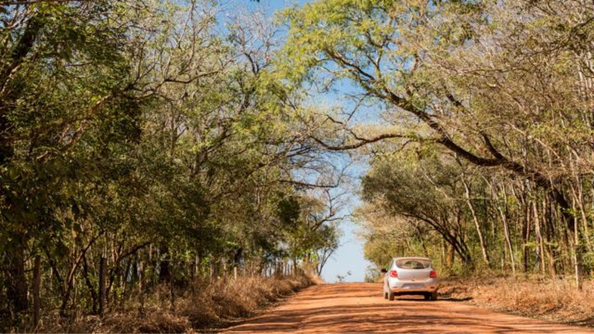 consejos evitar incendios forestales