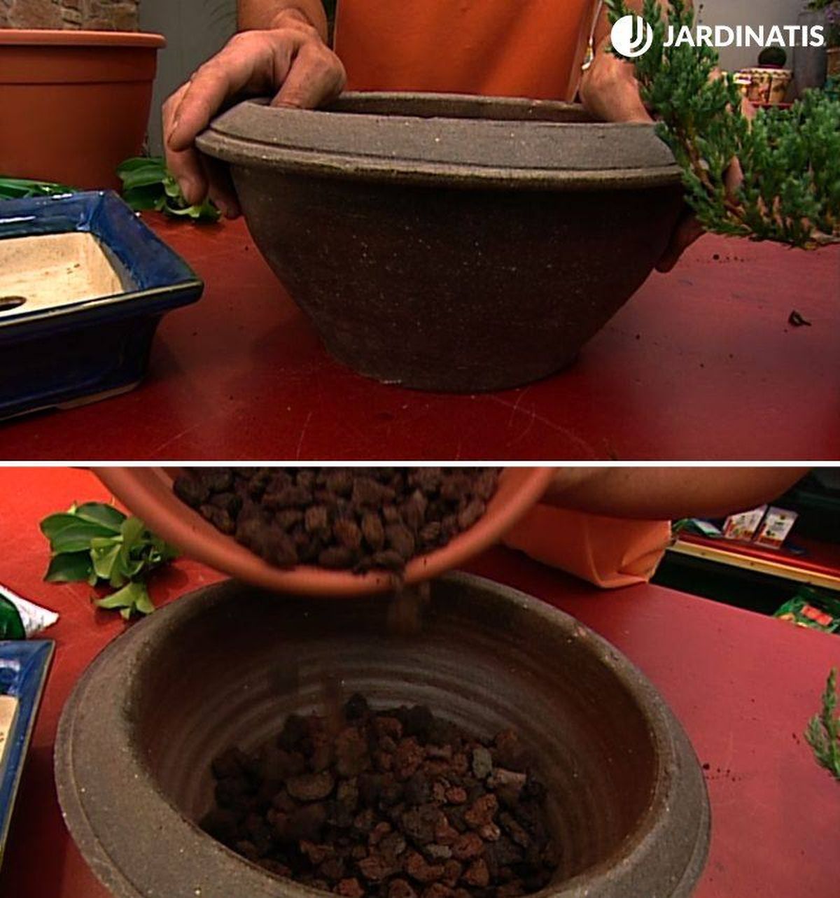 tiesto para bonsáis