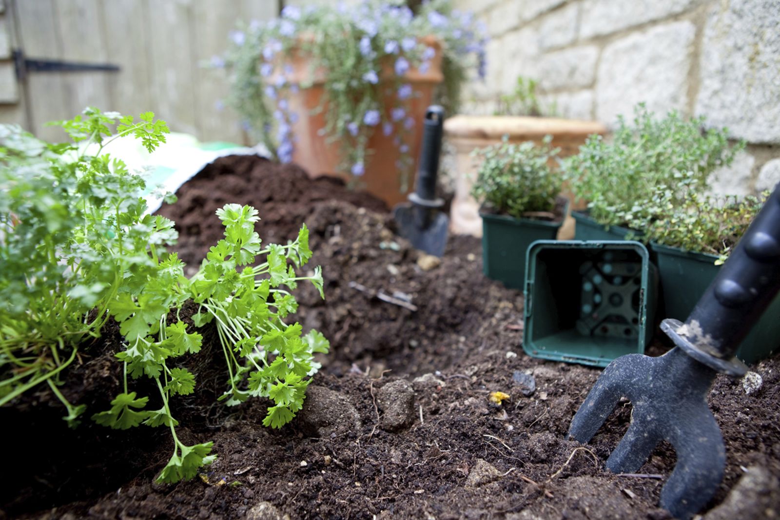 tareas jardineria septiembre