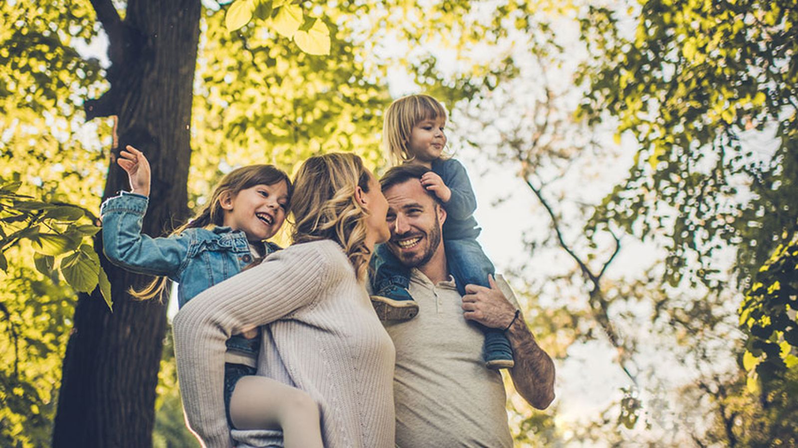 planes primavera familia xl