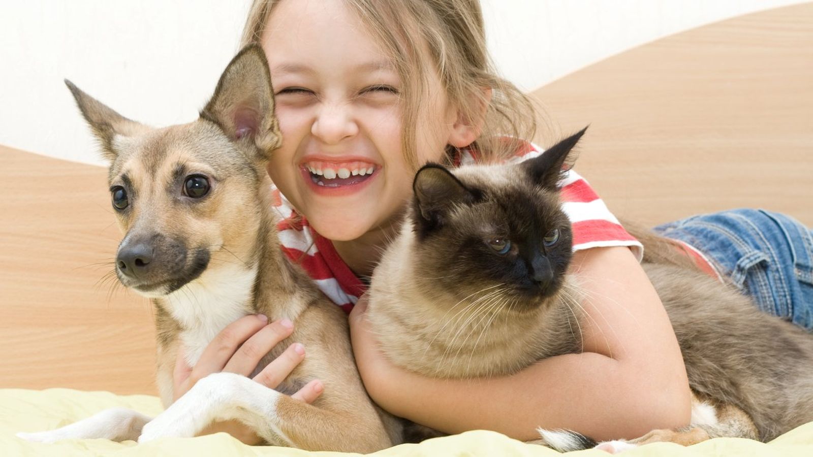 ley de bienestar animal