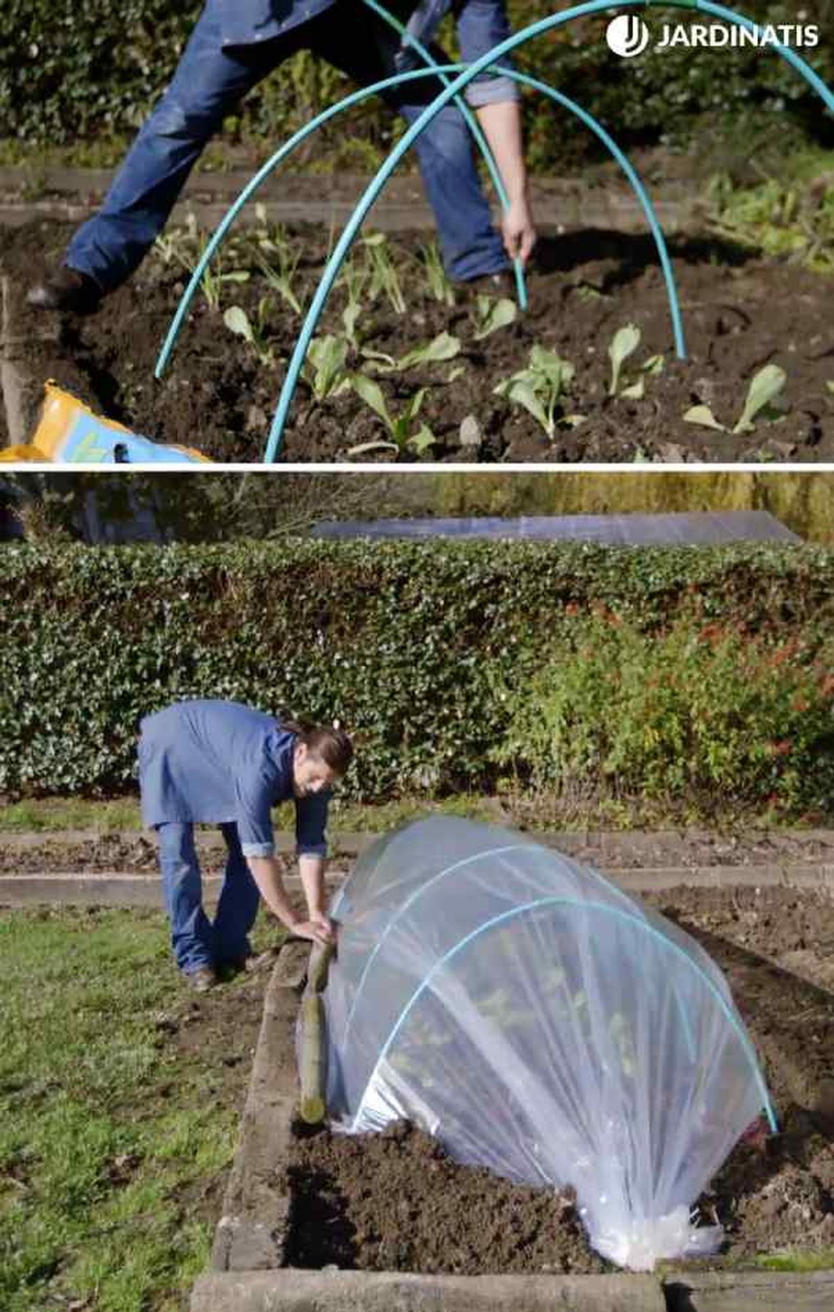 Mini invernadero en kit