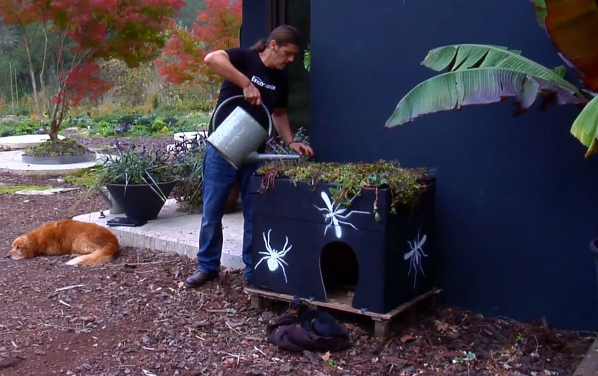 Tejado con cubierta vegetal