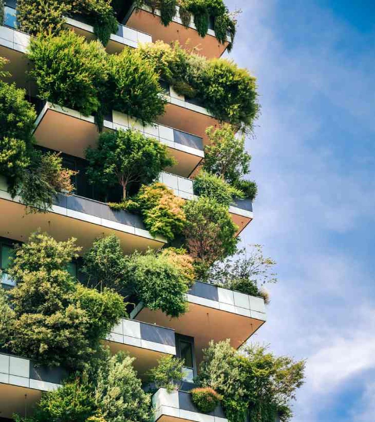 jardin vertical en fachada edificio