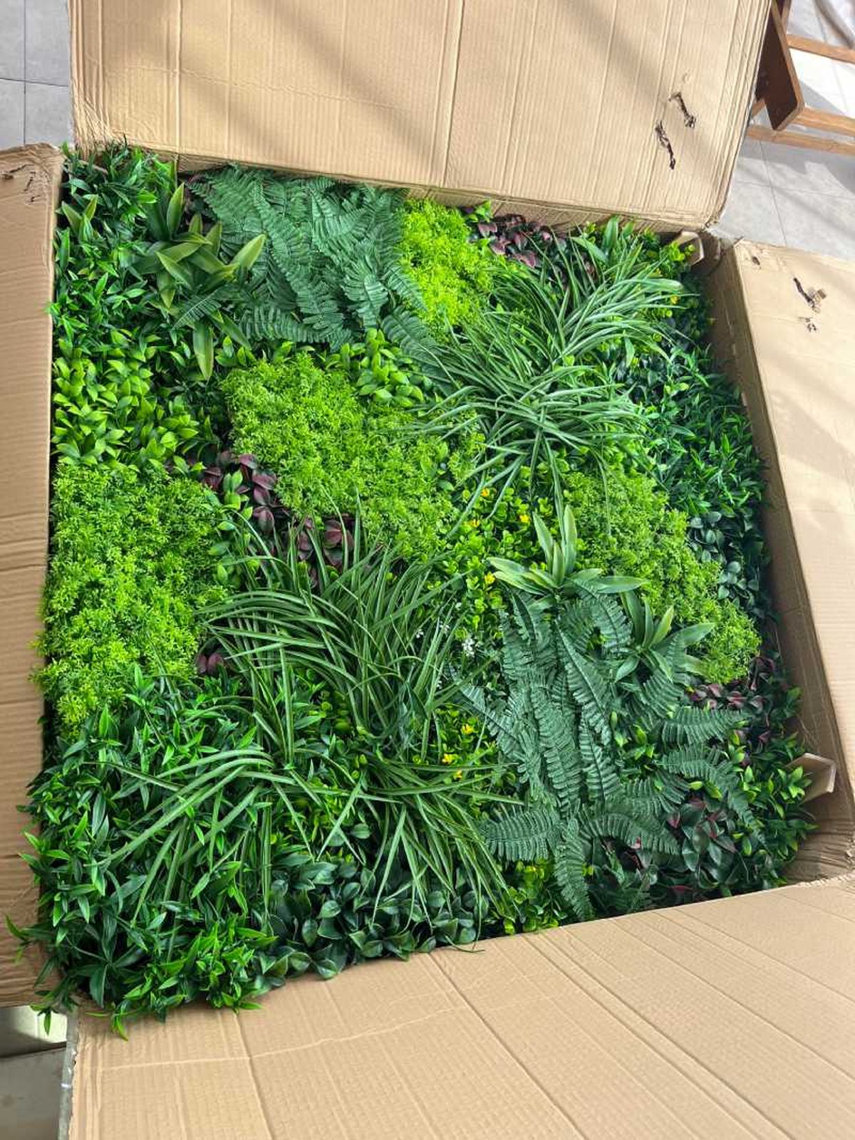 Jardín vertical Caribe de Garden on Wall.