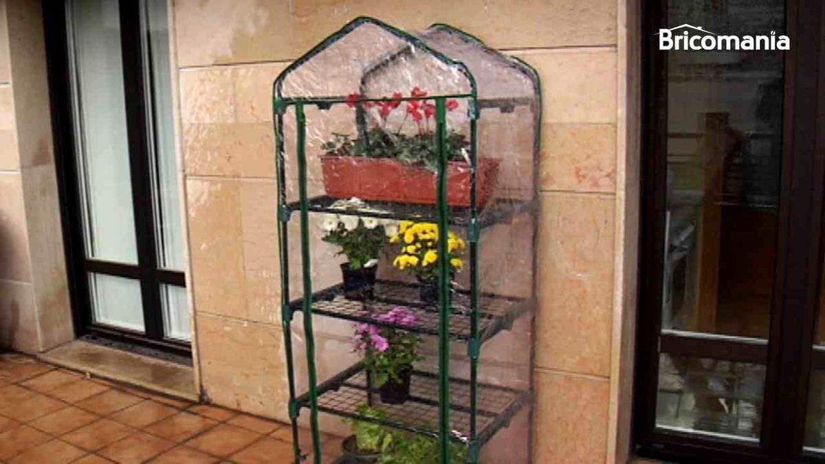 Invernadero en un balcón