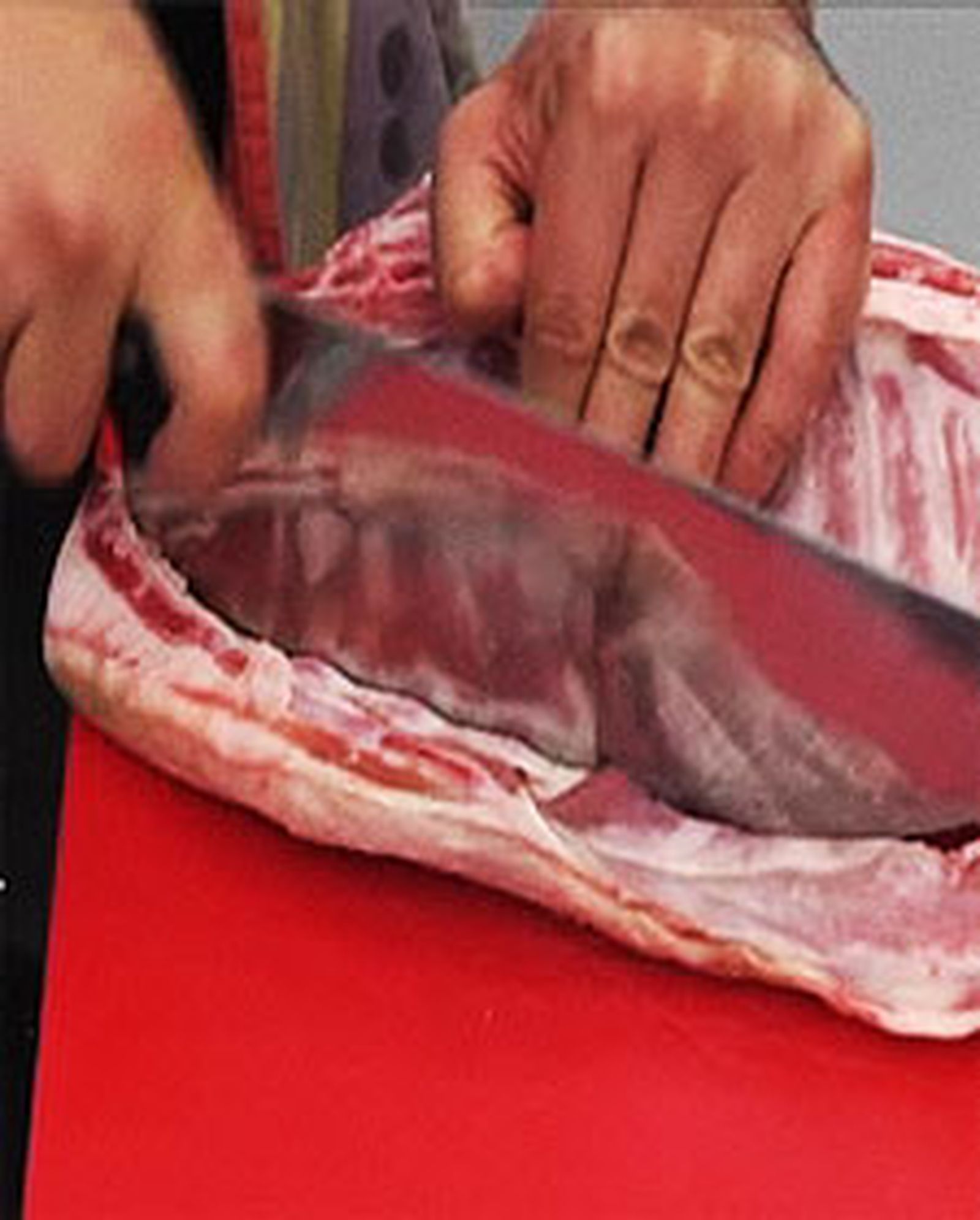 limpiar costillar cordero l