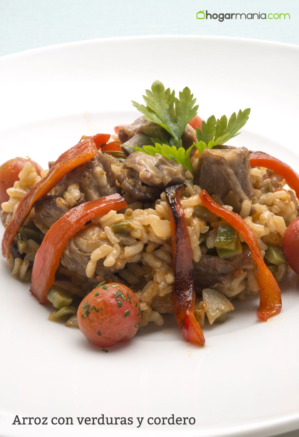 6029 1 Arroz con verduras y cordero (1391) vertical xl