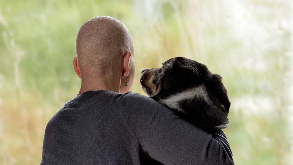 terapia asistida animales carceles