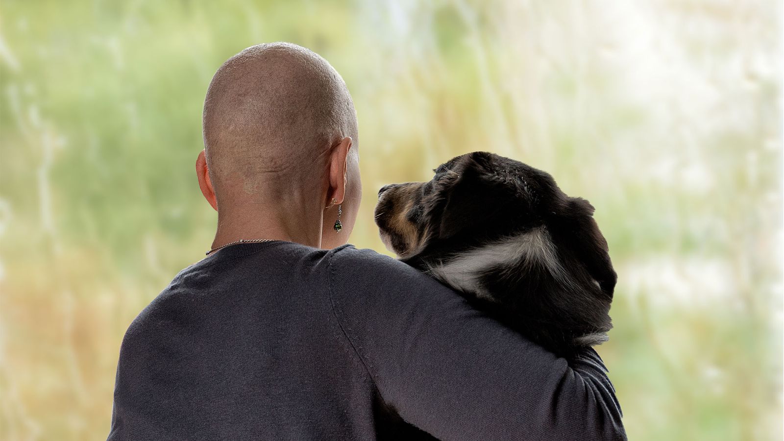 terapia asistida animales carceles