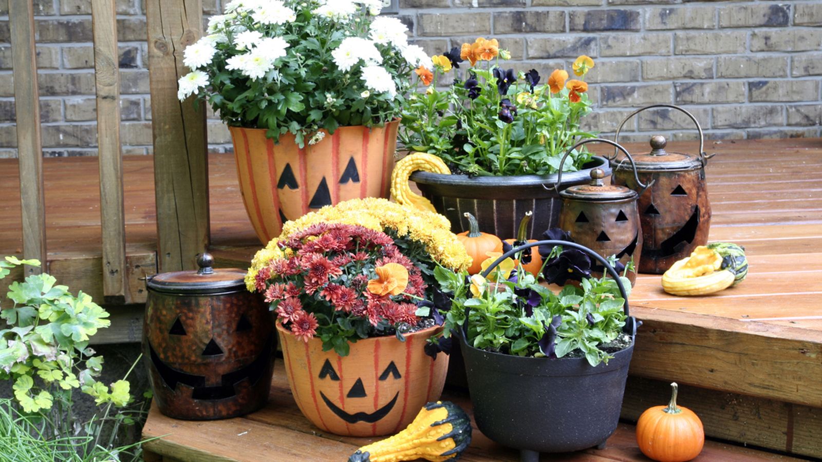 crisantemos calabaza decoracion halloween