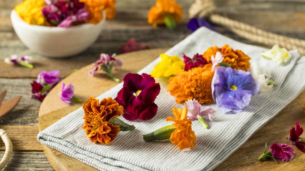 que flores son comestibles xl