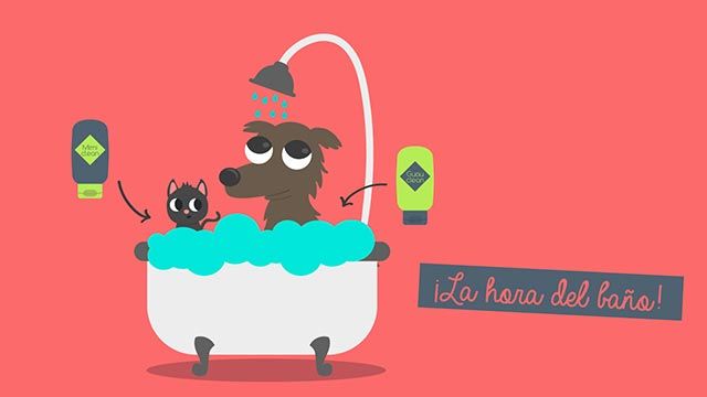Muda pelo mascotas bano