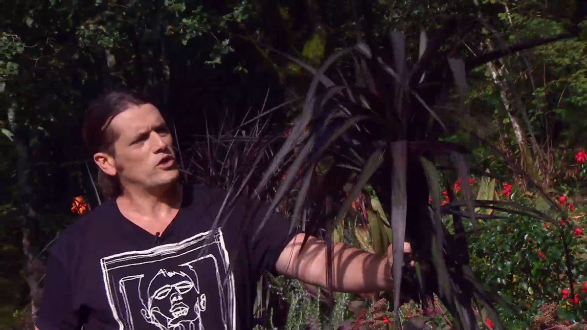 deco666 jardineria pennisetum vertigo centro floral