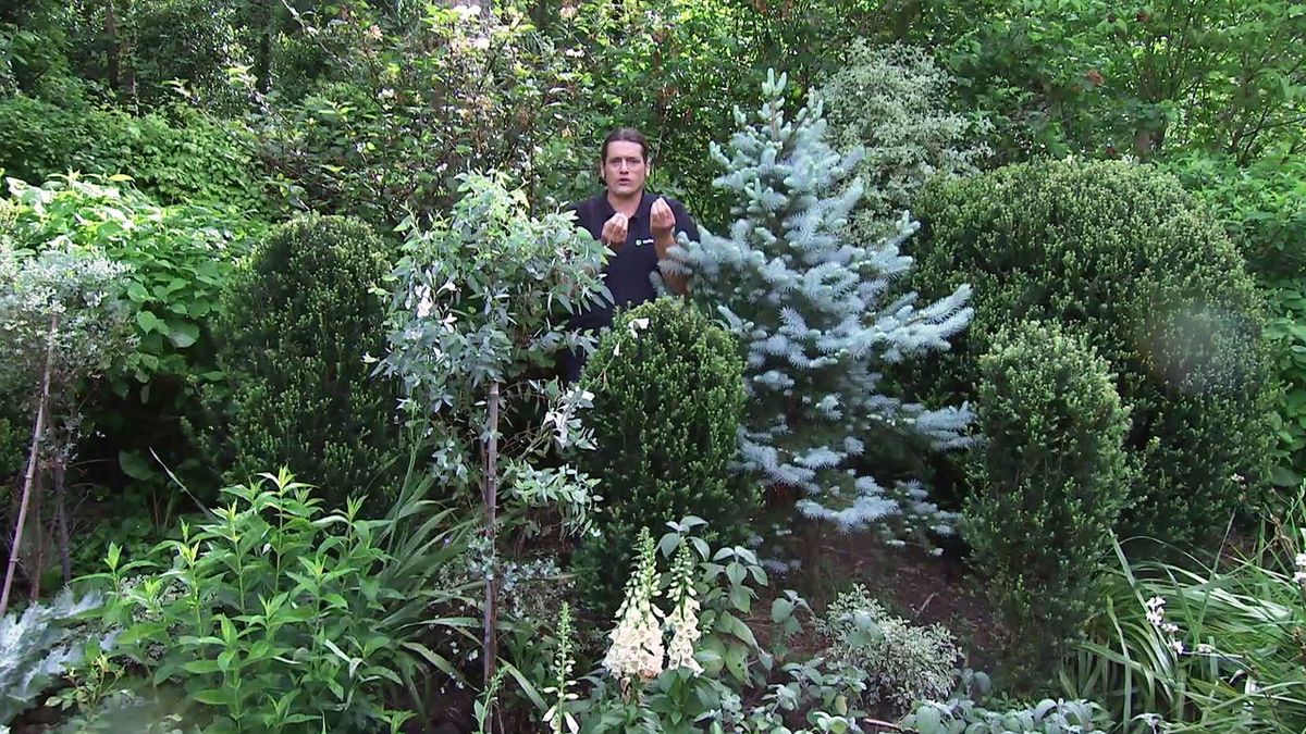 deco 775 jardin aberto azul eucaliptos xl