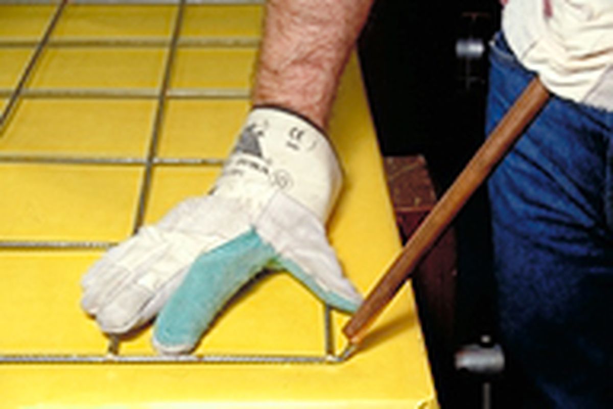 celosia enredaderas p4