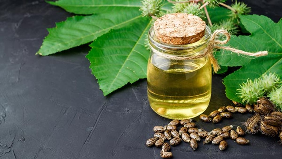 remedios naturales para hacer crecer las cejas aceite ricino