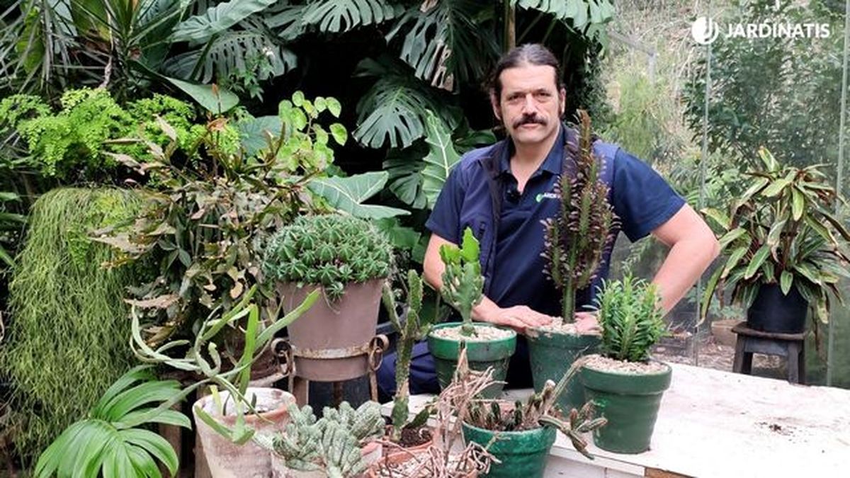 Iñigo Segurola junto a distintas especies de Euphorbias