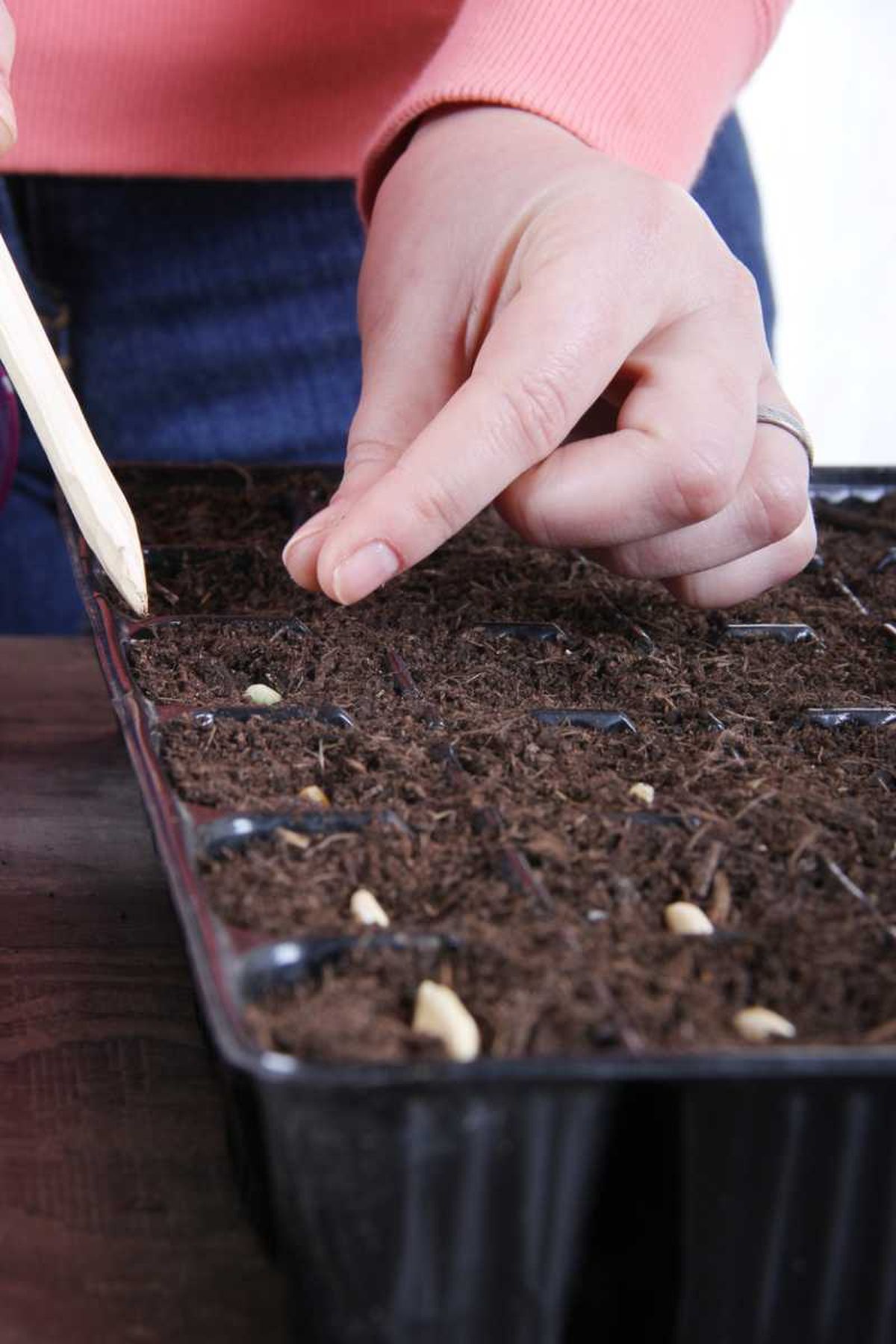 Los semilleros pueden ser individuales o colectivos