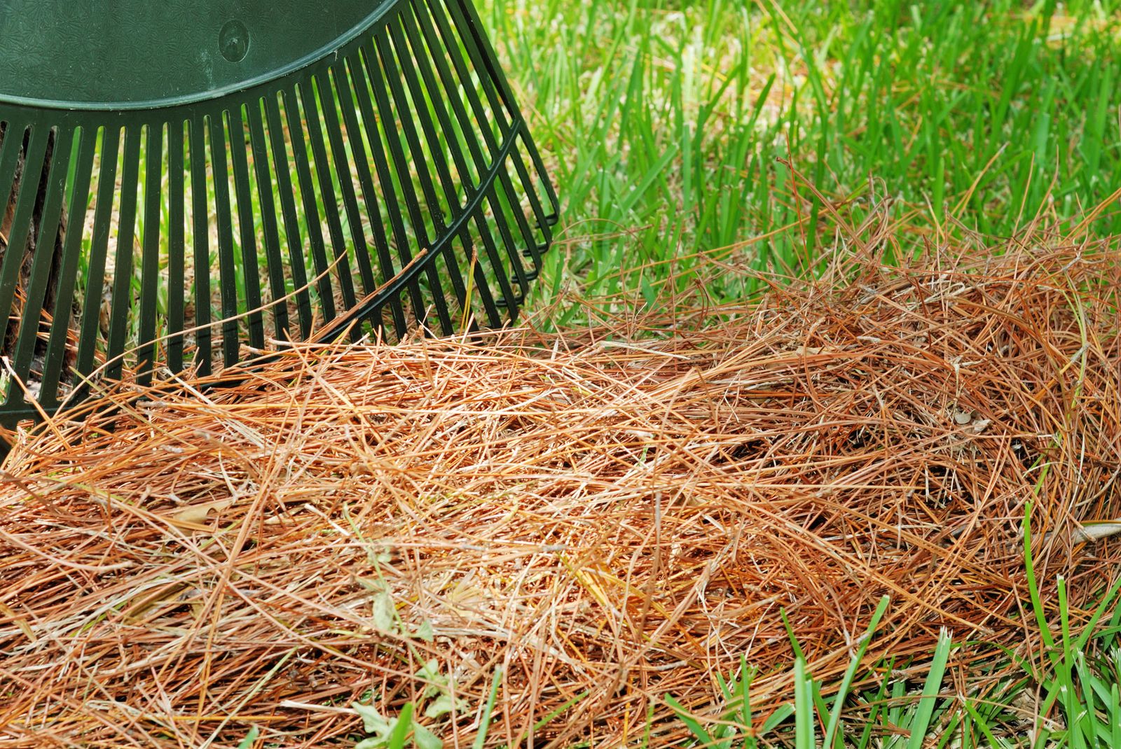 acolchar con materiales organicos xl