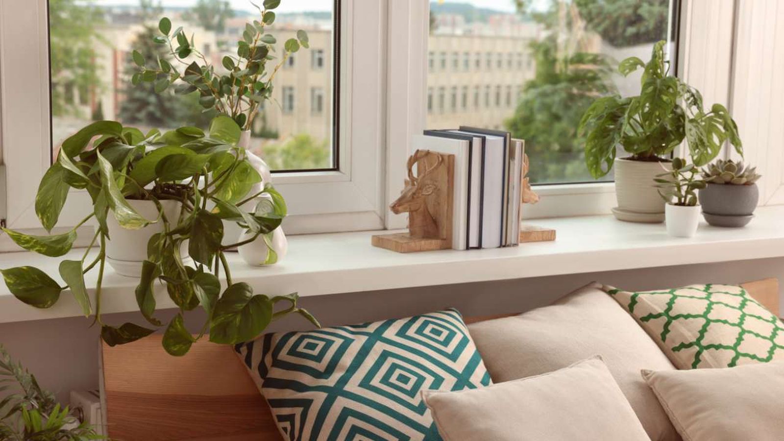 mejores plantas para el dormitorio