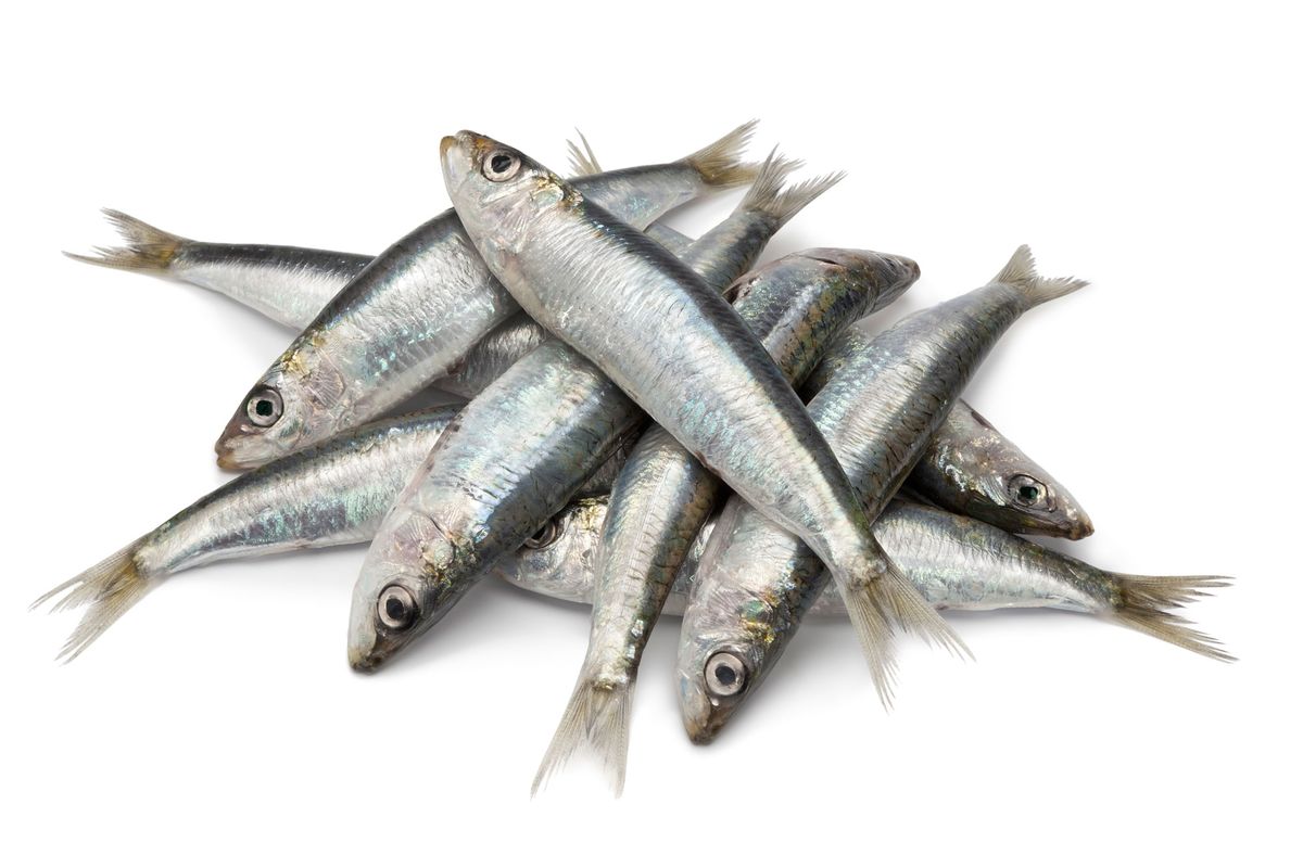 Cómo limpiar las sardinas